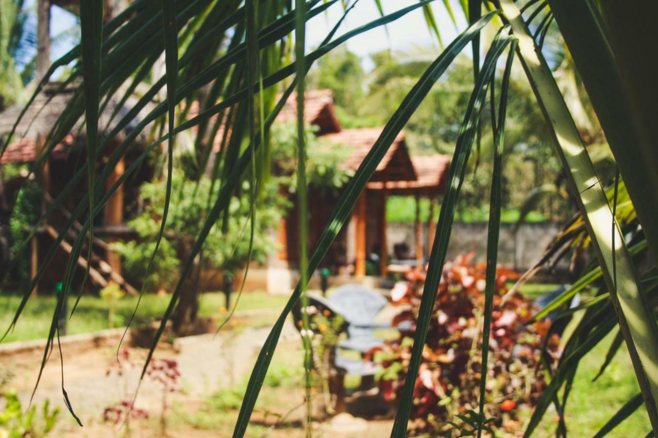 Clay House Hotel Удавалаве Екстериор снимка